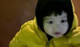 秃崽吃瓜视频爆料大全,揭秘娱乐圈幕后真相